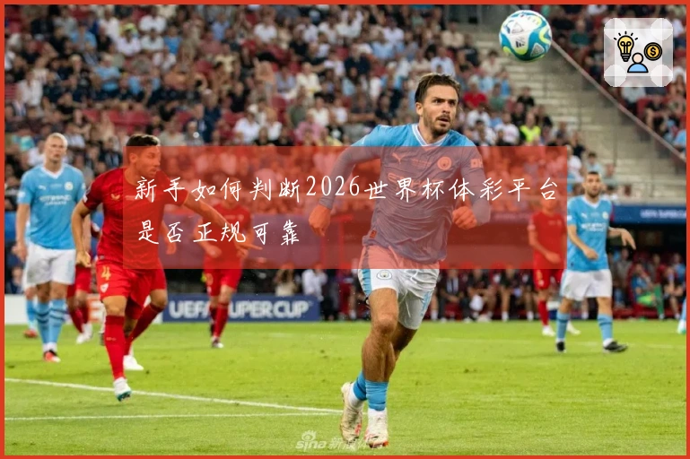 新手如何判断2026世界杯体彩平台是否正规可靠