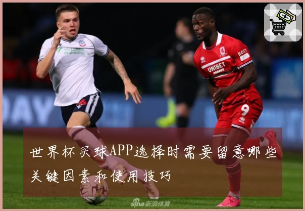 世界杯买球APP选择时需要留意哪些关键因素和使用技巧